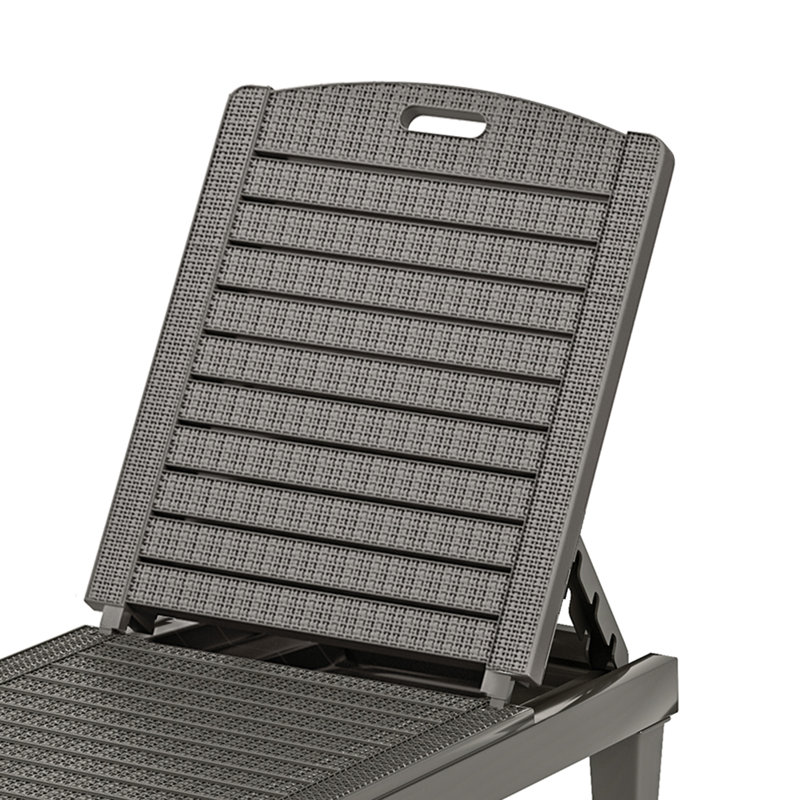 Chaise longue d'extérieur en résine (ensemble de 2), Gris