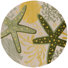 Beige/Jaune/Vert