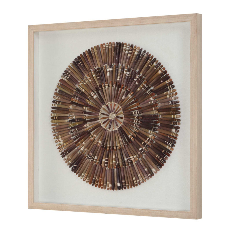  Tiger Sea Urchin Shadow Box
