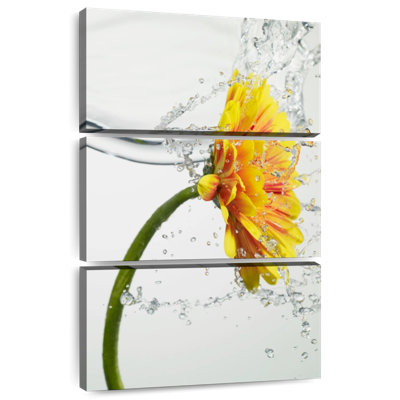 Harnek Daisy Water Splash