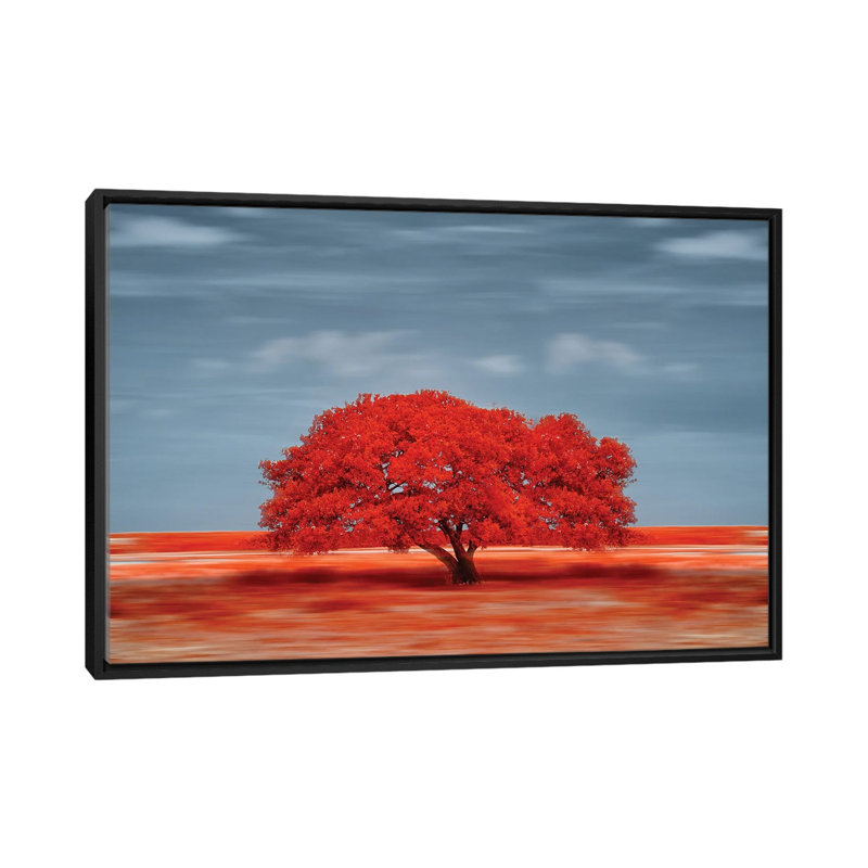 Lonely Red Tree On The Field by Glauco Meneghelli - Floater Frame Print on Canvas
