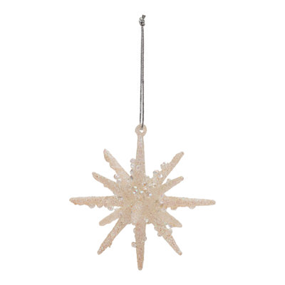 Frosted Glass Star Ornament (Set of 6)
