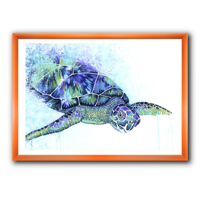 " Sea Turtle "