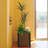 Elevated Planter-574812350