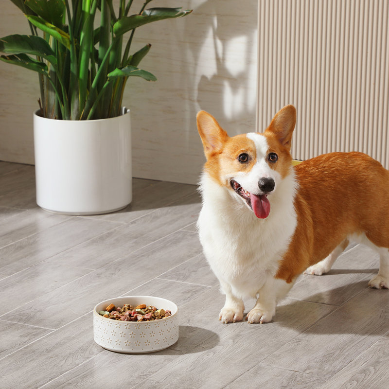 Flower Embossed Pattern Anti-skid Stoneware Dog Bowl, 1080ml