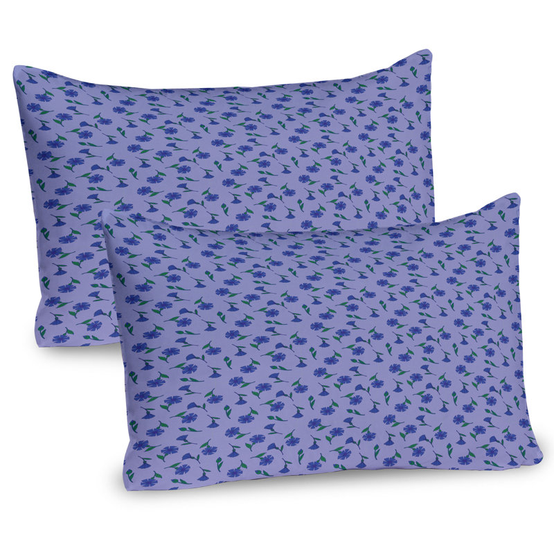 Ensemble de 2 taies décoratives Ambesonne