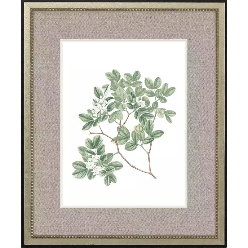 White Flowers S/4 Set by Giclee Studio