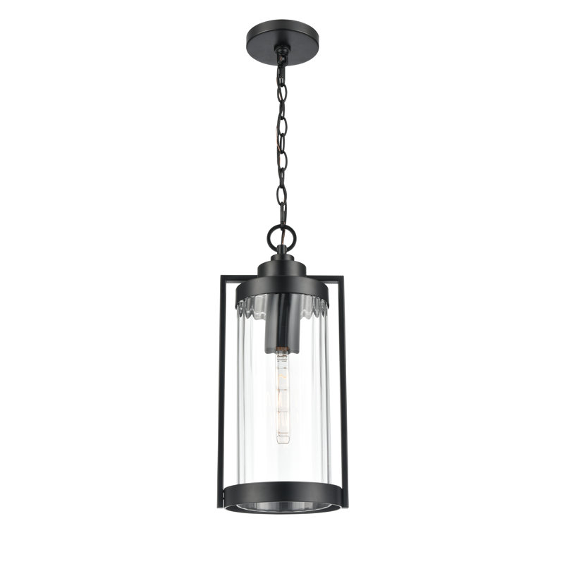 Braselton 8" Wide 1-Light Outdoor Hanging Lantern - Powder Coated Black