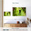 Chat noir Brampt-108945881