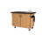 Mobile Science Cart with Shelving and Sink
