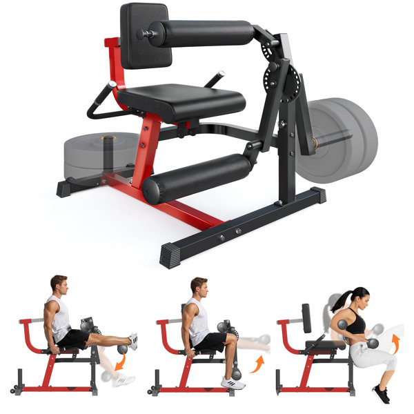 YODOLLA Leg Extension And Curl Lower Body Workout Machine - Wayfair Canada