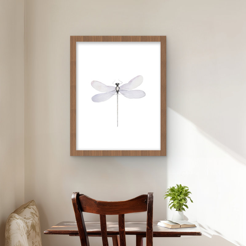 Délicat libellule - insecte mauve, reproduction encadrée