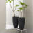 Staebell Tapered Planter-361631776-361631839