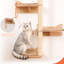 Arbre à chat mural - 7 tablettes murales et perchoirs pour chat avec poteaux à griffer en sisal haut, arbre à chat mural et meubles peu encombrants pour les chats d'intérieur