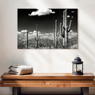Harnek Saguaro Cactus Desert