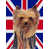 Yorkshire Terrier 3 sélectionné