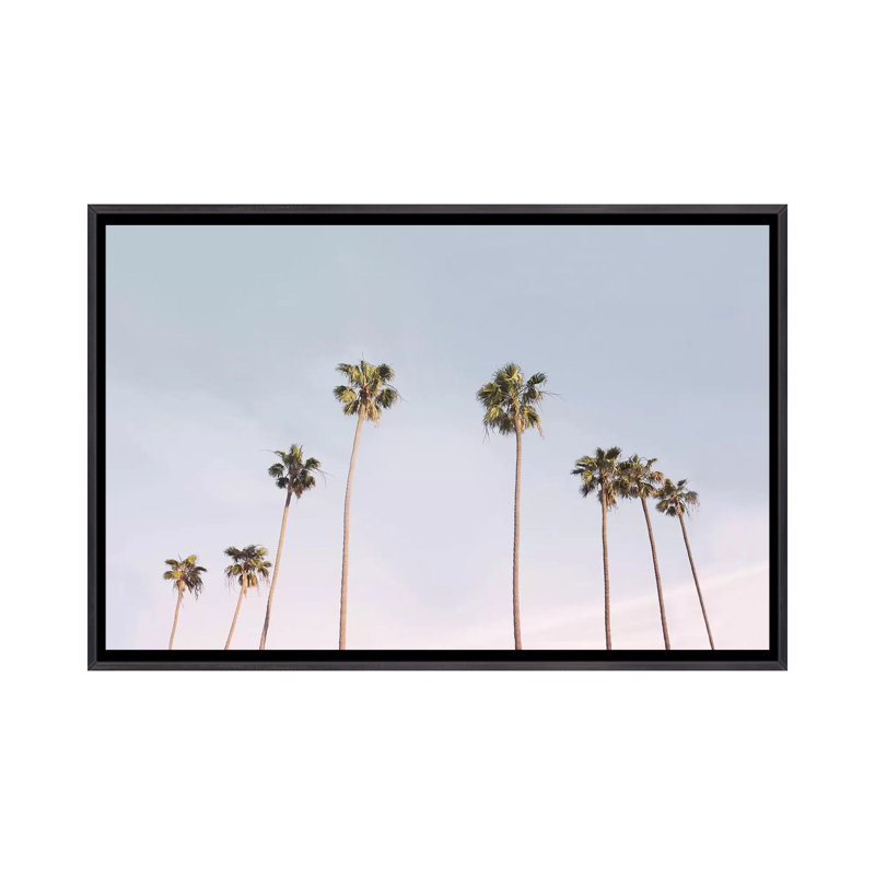 Photographie « california trees », H 18 po x l 26 po x P 1,5 po, Toile avec cadre noir patiné