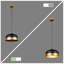 Luminaire suspendu en dome à 1 lumière