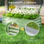 Planter-323574950