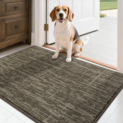 Tapis de porte antidérapant avec envers en TPR - Doux, lavable, paillasson à profil bas pour l'entrée intérieure, parfait pour les animaux de compagnie et la famille