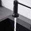 Robinet de cuisine amovible HOOSENG