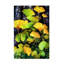 Feuilles de bolognaise, bolognaise, Justyna, Jaszke-105647315