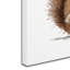 Armand «Squirrel», reproduction sur toile-21647116