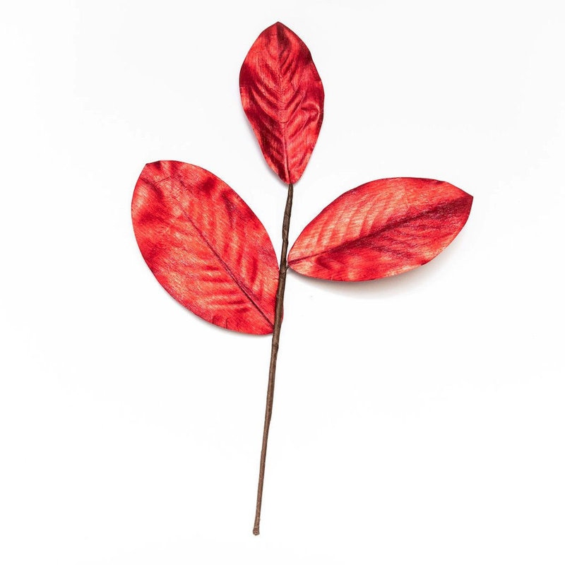 Choix de feuilles de magnolia métallique