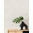 Peel & Stick Roll-405841389-405841388