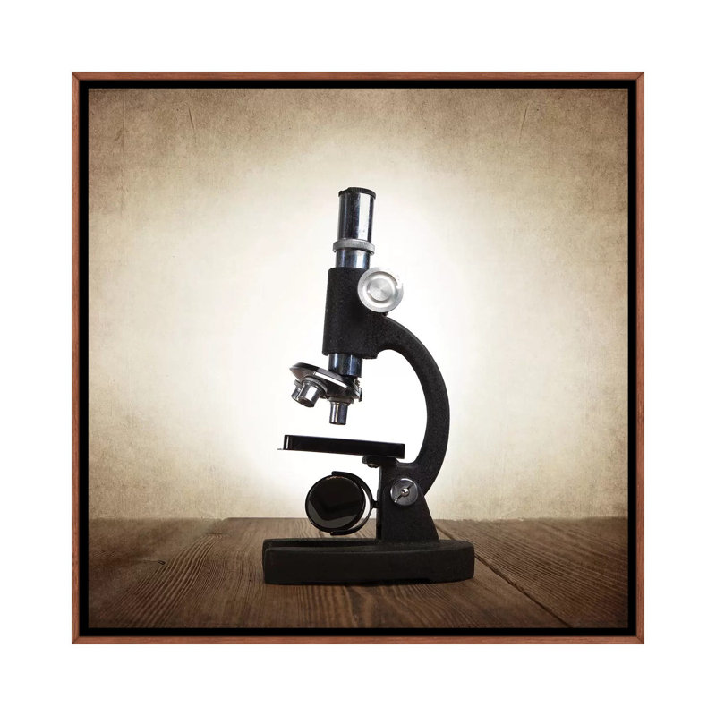 Microscope - Print on Canvas, 93.98 cm H x 93.98 cm W, Classic Brown Wood Framed