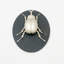 Farmhouse Animals Wall Decor