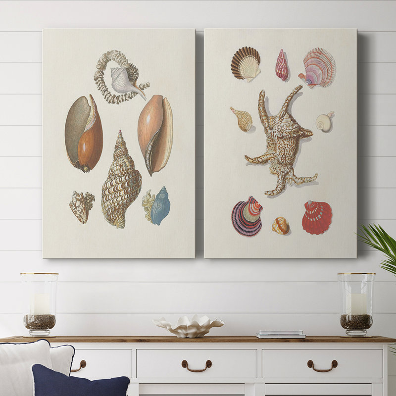 Toile tendue Knorr Shells & Coral I-Premium Gallery - prête à être accrochée