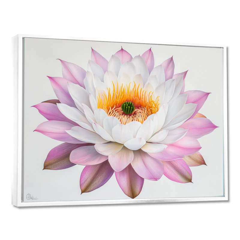 Fleurs de cactus roses - cactus floral, Impression dans un cadre flottant sans passe-parto, H 16 po x l 32 po, Blanc