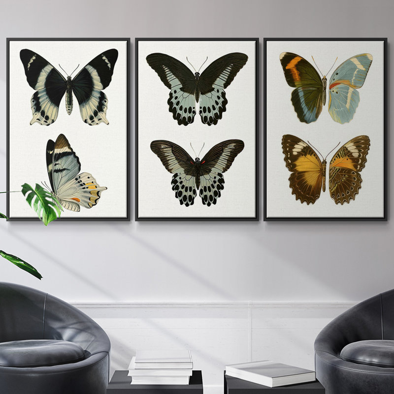 Ensemble de 3 papillons bleus antiques I encadrés sur toile, Noir, H 36 po x l 72 po