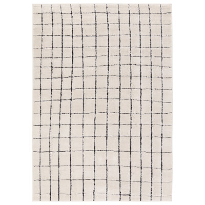 Indoor Rug