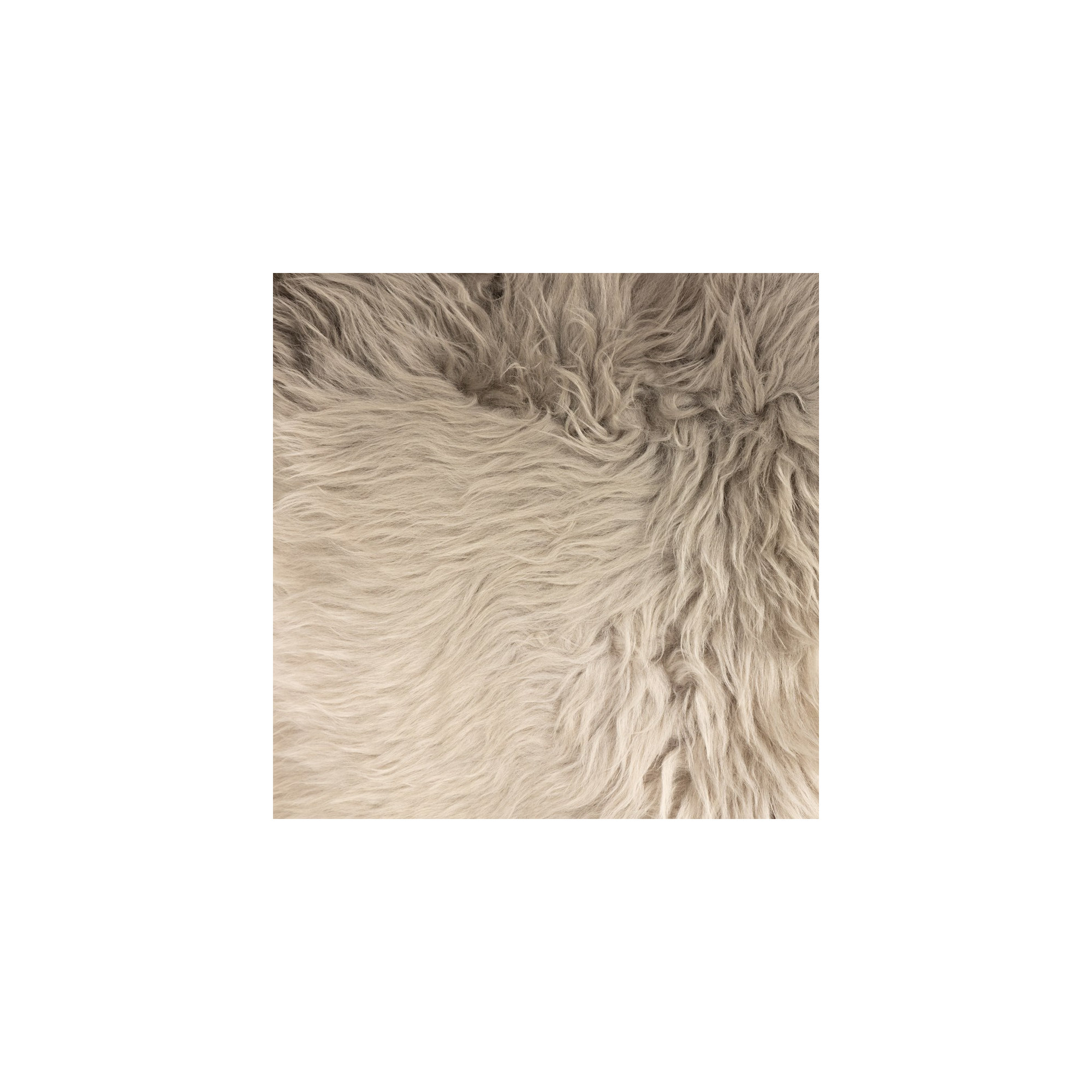 Stacey Shearling Standard Throw Blanket, Light Gray