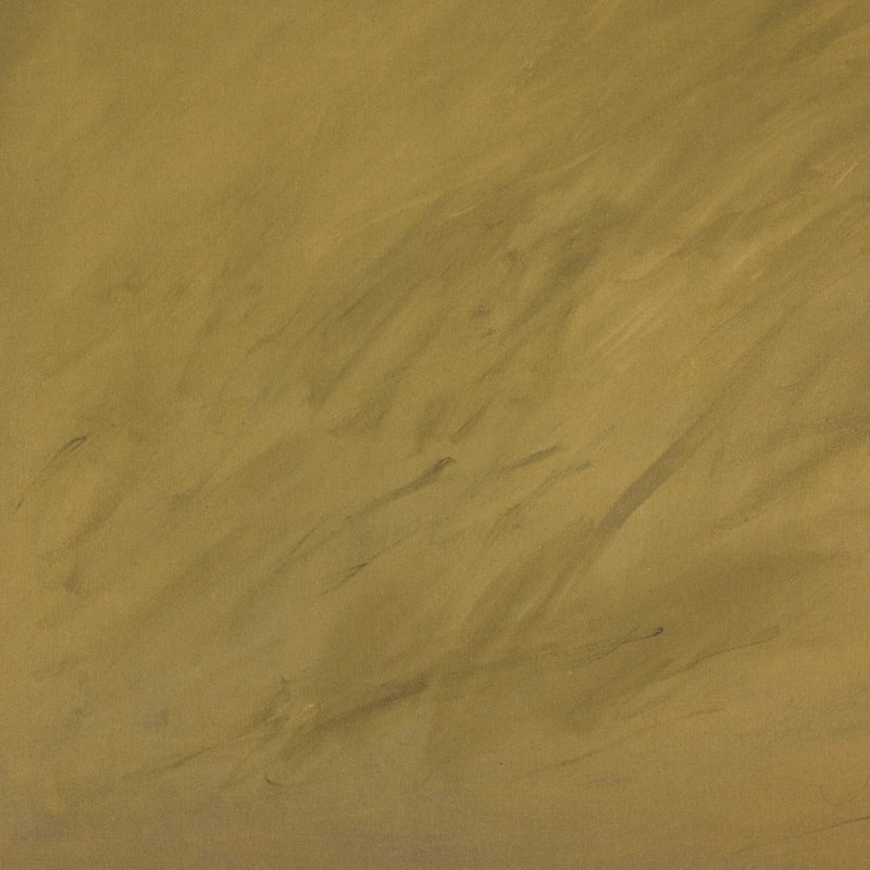 Shaded by Melody McMunn, 72 x 48'