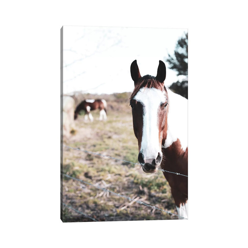 Front And Center by Melissa Hanley - Wrapped Canvas Print, 20.32 cm H x 30.48 cm W