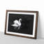 Swan - Picture Frame Graphic Art Print-56864579-56864578