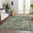 Machine Washable Indoor/Outdoor Cinead ACN1664 Aloe Rug-104403470