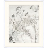 Painted Pressed Floral 6 Print