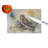 Tawny Owl Glass Cutting Board
