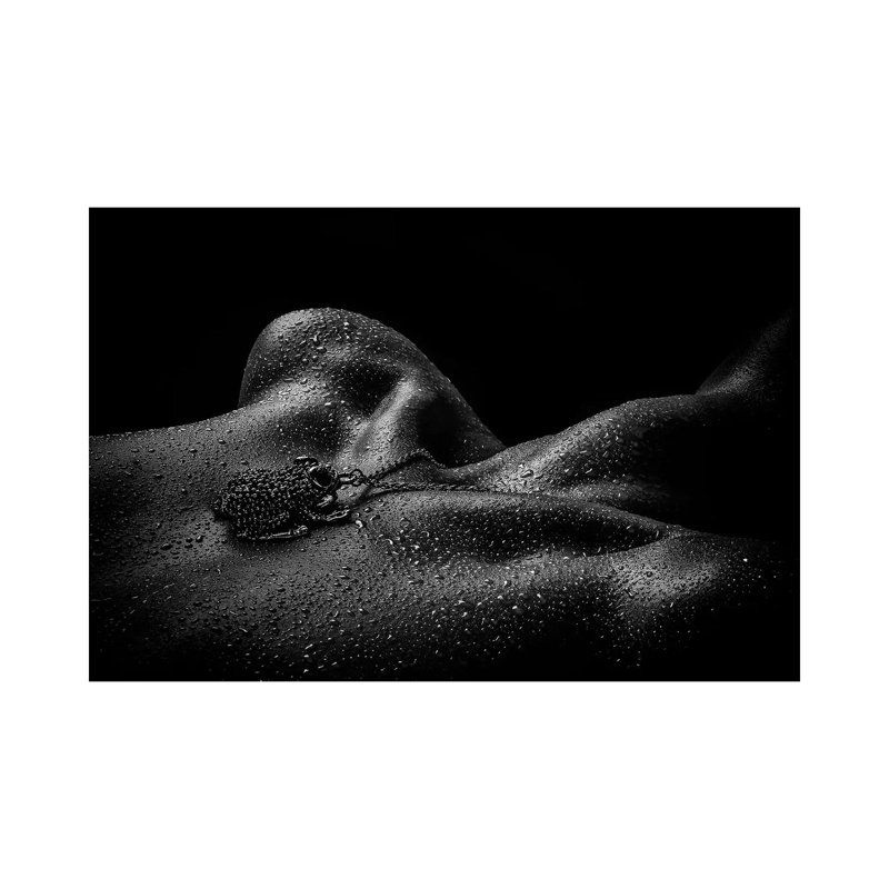 Drops // Frog by Peter L. Nielsen - Wrapped Canvas Gallery-Wrapped Canvas Giclée, 20.32 cm H x 30.48 cm W
