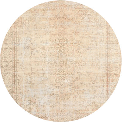 Oriental Indoor Rug