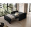 Sarlota 2 Seater Sofa Bed-2046638864