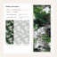 Papier peint à motif abstrait camouflage vert