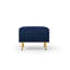 Pushapa 31,5 de large-1256722939
