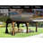 Cedar Wood Gazebo 12'X20'