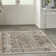 Jurado Oriental Beige/Gray Area Rug