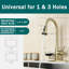 Topcraft Single-Hole Single-Handle Pull-Down Kitchen Faucet With Base Plate-125501516